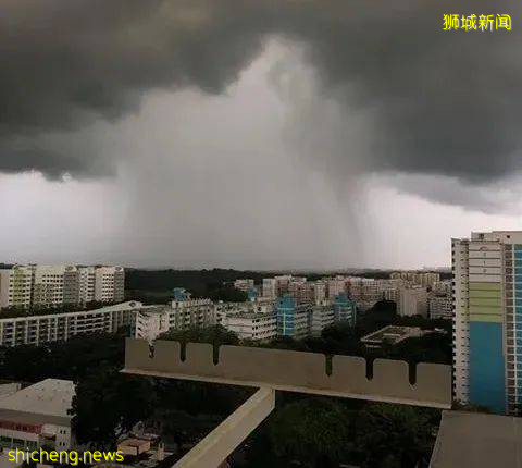 新加坡多變的天氣,豐富的生態環境