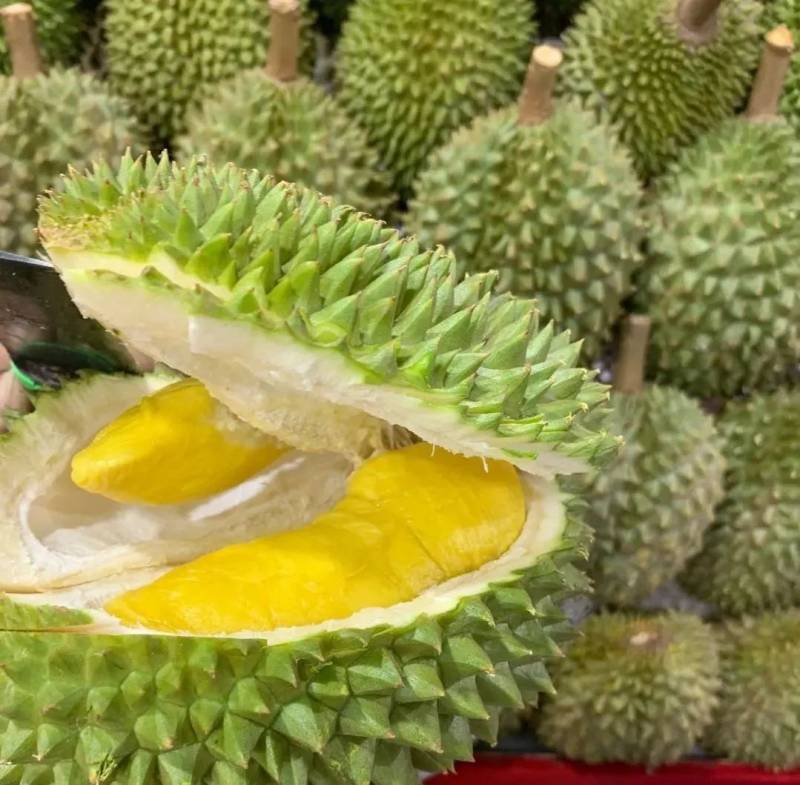 新加坡 從“哈芝巷”步行到“小印度”