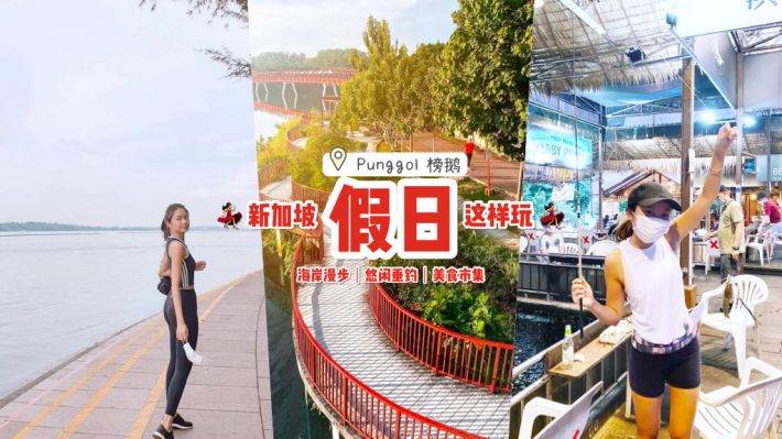 新加坡榜鵝花式玩法😎 貨櫃、海島、公園、濕地、釣蝦場玩起來！全新遊玩攻略收起來💪🏻