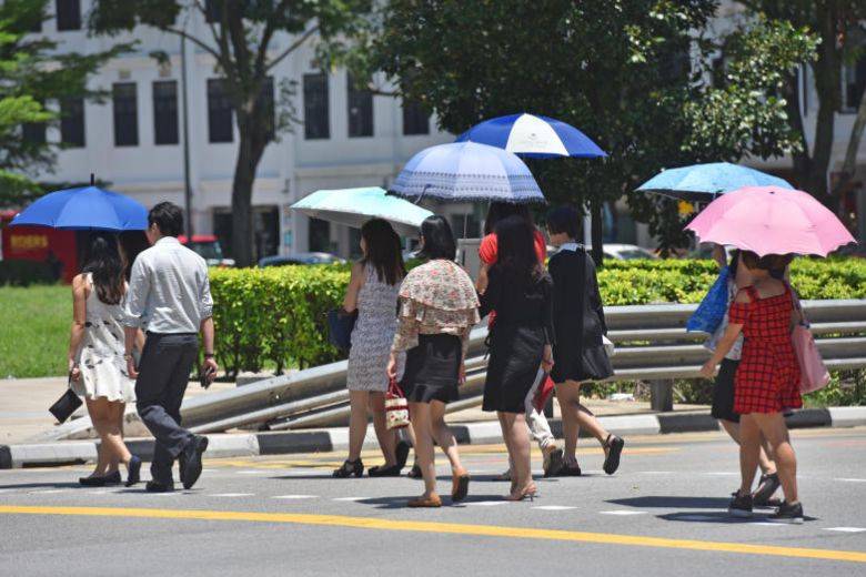 变热啦!太阳高高照☀️ 新加坡一月下旬迎来干旱热天,气温预计将高达34度