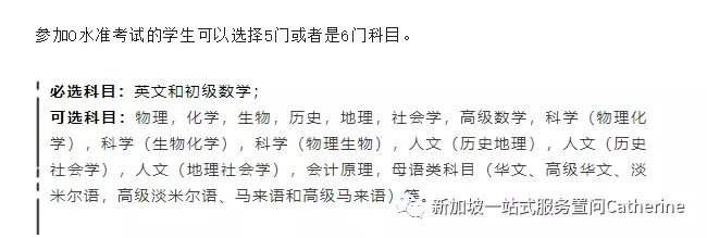 想进政府学校的看过来:新加坡学生的升学途径