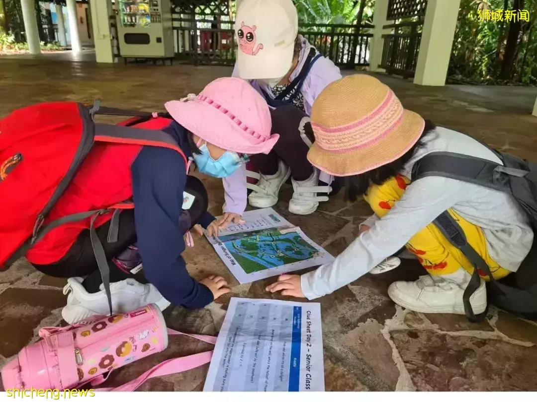 叢林探險、生存挑戰！新加坡戶外學校的6大假期營超級寶藏