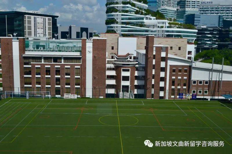 東陵信托國際學校 Tanglin Trust School (TTS)