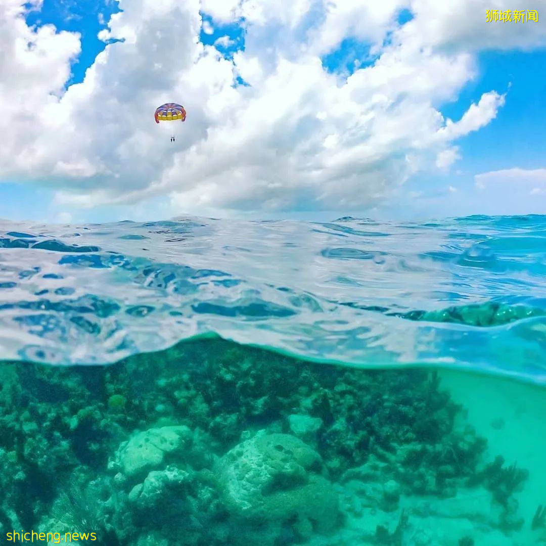 新加坡超棒的4個海灘，遛娃、放風筝、趕海、品美食