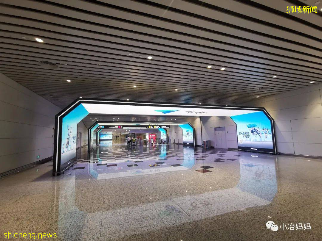 結束11年新加坡的生活!我懷孕帶著5歲的娃回了中國又移民澳洲!這瘋狂又神奇的旅程