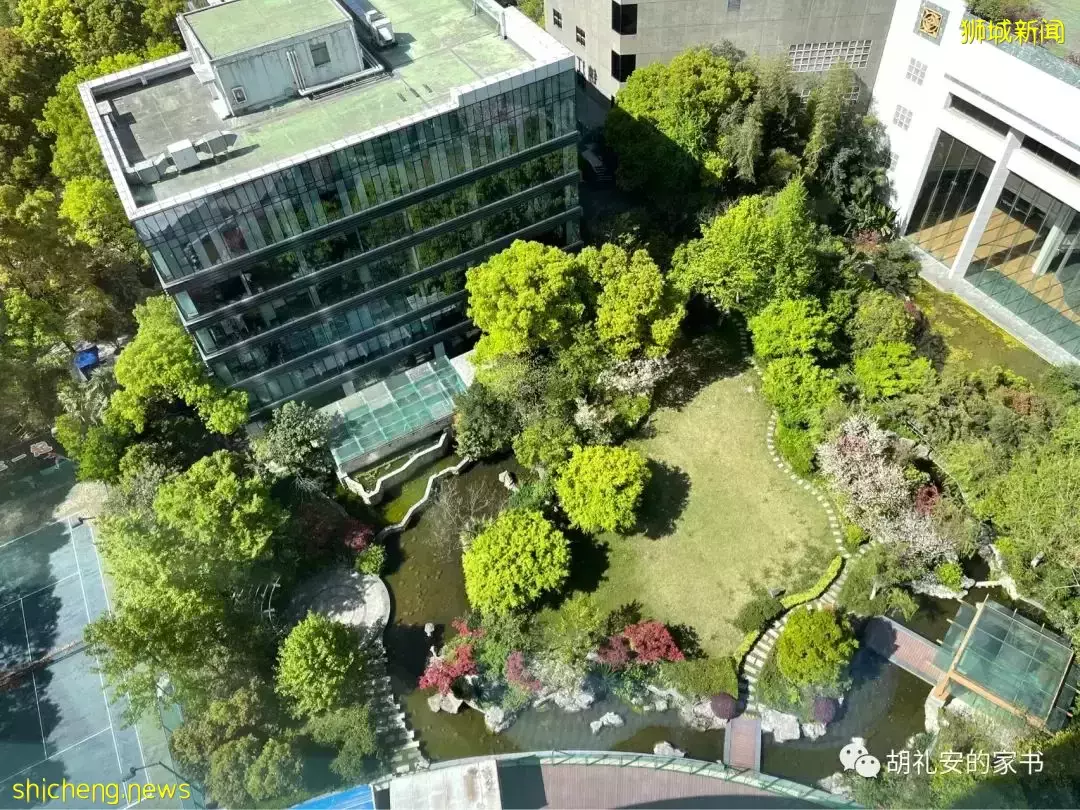 “从新加坡回到上海,封锁一再延长,我被卷入了这场前所未有的大事件”