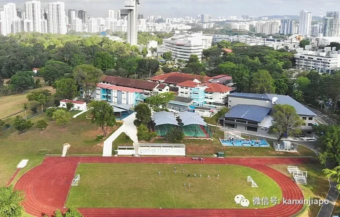 今增70例，总数破800|新加坡邮政巨头成新感染群，学生签、工作签开始限制入境