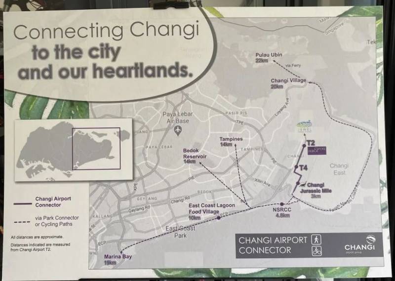 賣油條“續命”,老板直播cos,這是要集體轉行