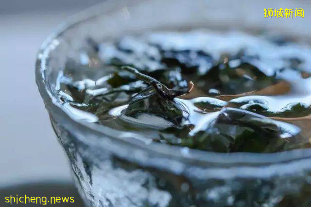 新加坡科技研究證明: 喝茶可以保護大腦