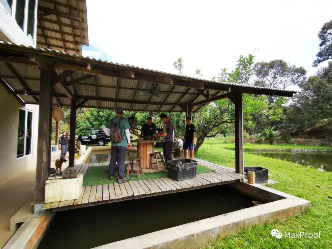 新加坡自由行 獅城人氣景點走起