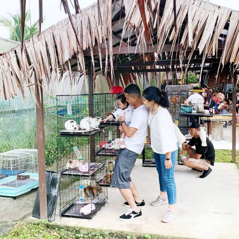 8大新加坡休閑動物農場！享受親子時光，不忘親近大自然