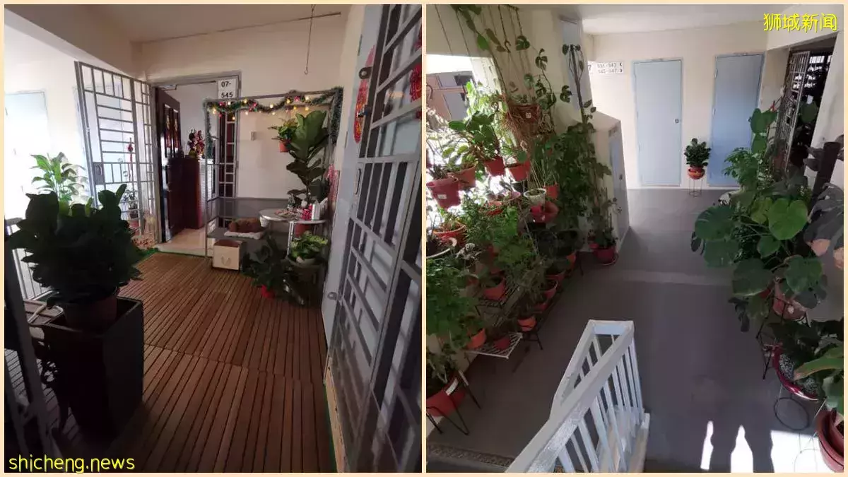組屋共享走廊空間變成了漂亮的“家庭花園”