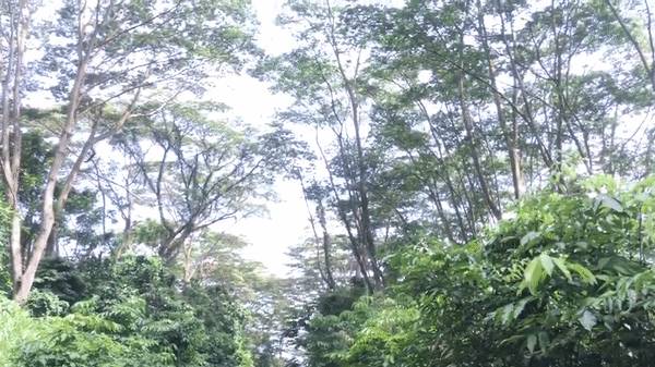 本周最熱打卡地