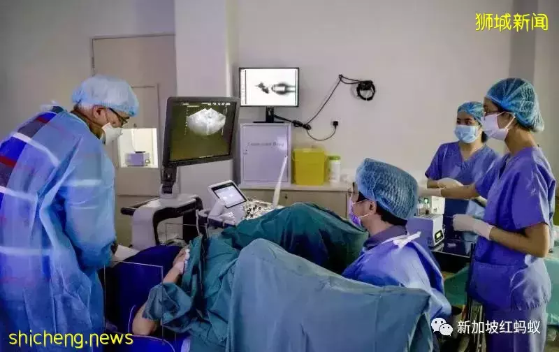 新加坡将允许21至35岁已婚或单身女性冻卵,但设下两大限制