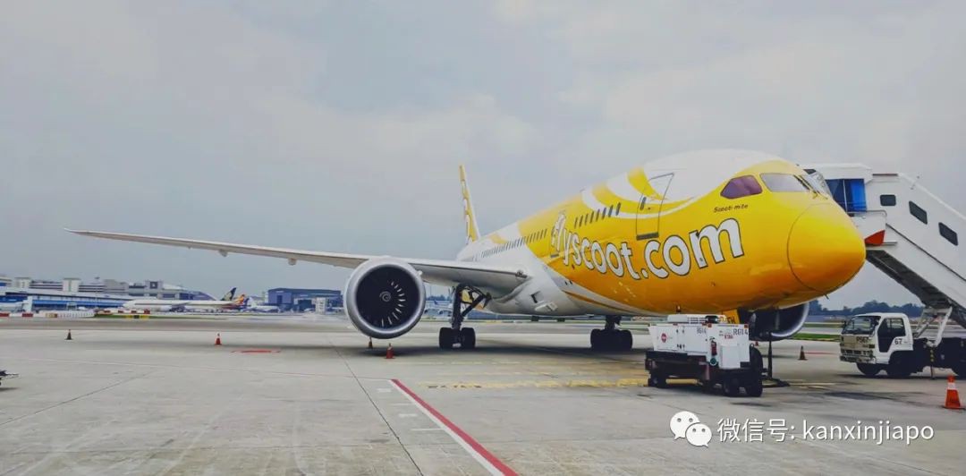 酷航宣布恢复这条新加坡直飞中国的航线！