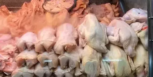 應對迅速，新加坡未來幾周將有更多來自他國的冰鮮雞供應