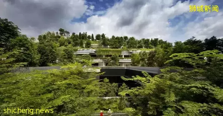 新加坡如何在打造绿色城市环境中引领先锋
