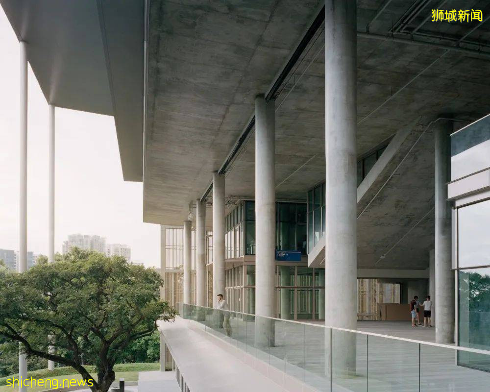 在新加坡读艺术到底好不好