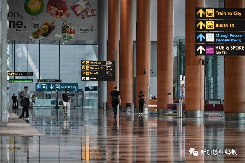 新加坡手上有好牌，逐步和低风险地区开展“泡泡”其实没那么可怕