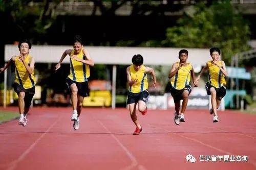 新加坡各阶段申请条件、学费及CAA课程