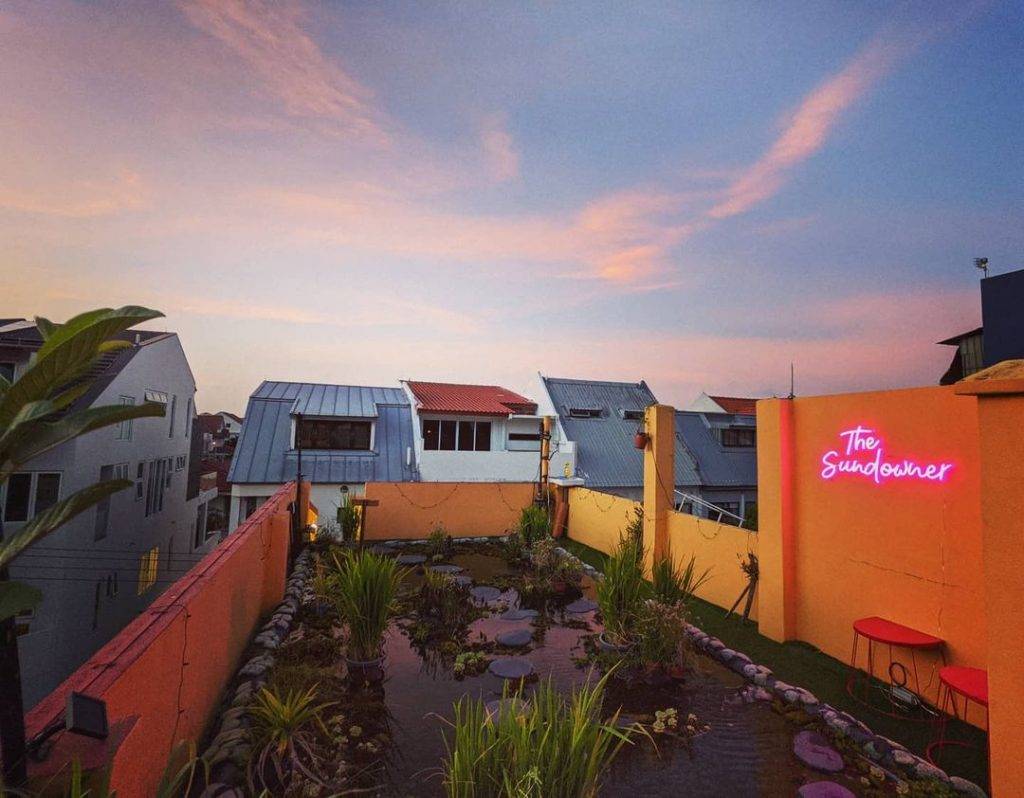 隐藏版城市农场😎 屋顶变花园“The Sundowner”商店顶楼采蜂蜜🐝尽享日落余晖，感受都市慢生活