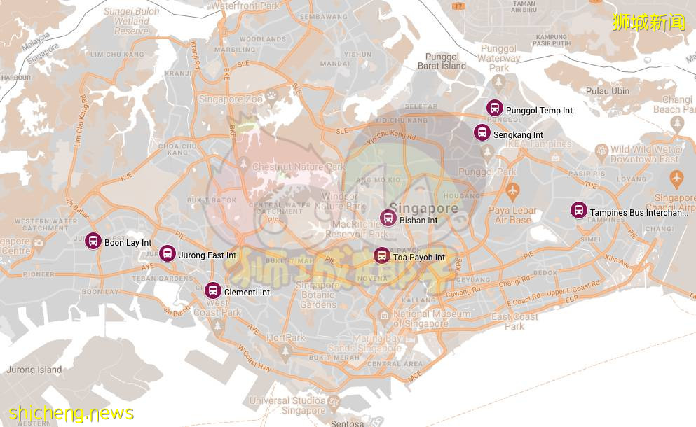 新加坡巴士站229人確診！專家：病毒或已擴散到地鐵站！最新回國政策+機票彙總