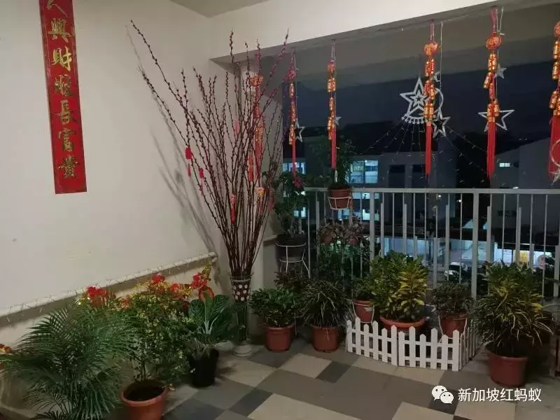 獅城春節氛圍最濃厚的，就是這些裝飾得很喜慶的組屋走廊