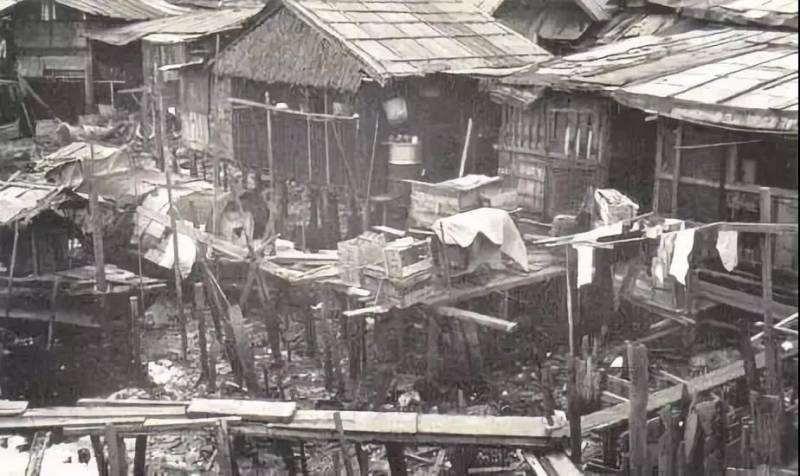 實拍!新加坡這個網紅套上小馬甲,淪落路邊掃垃圾