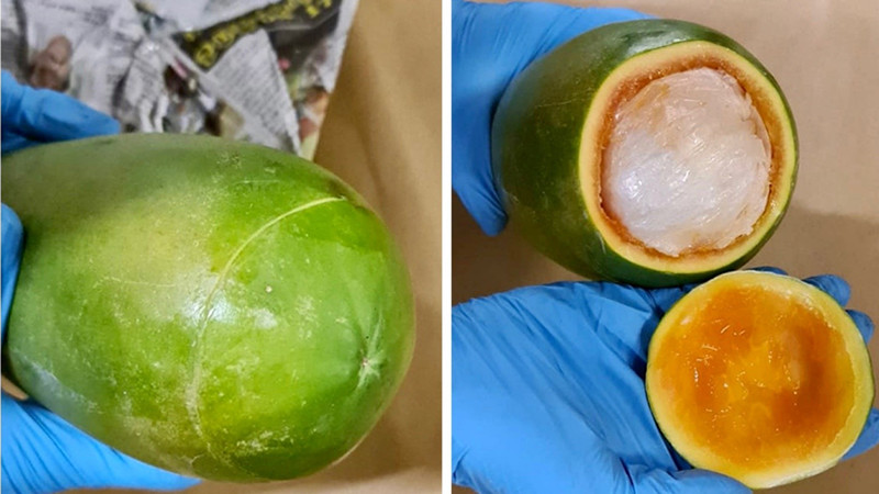 木瓜藏匿毒品!涉案總值逾12萬 八人被逮捕