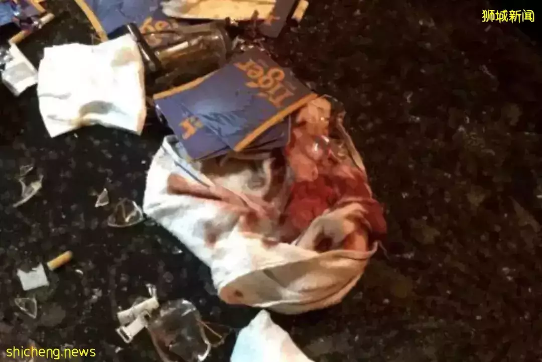 實拍新加坡夜店人浪起伏大狂歡，他爲挂花場女郎豪撒錢！下周病例一天2萬