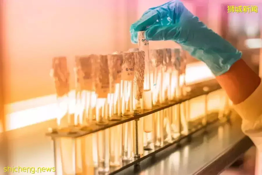 新加坡剑桥N水准考试成绩放榜！考生升学如何选择