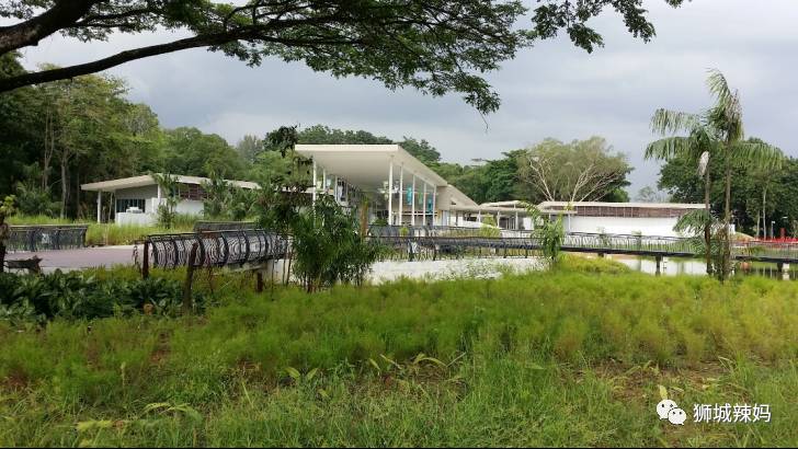 500种热带动植物免费看!超大蜥蜴、候鸟、鳄鱼,新加坡这地儿你肯定没来过