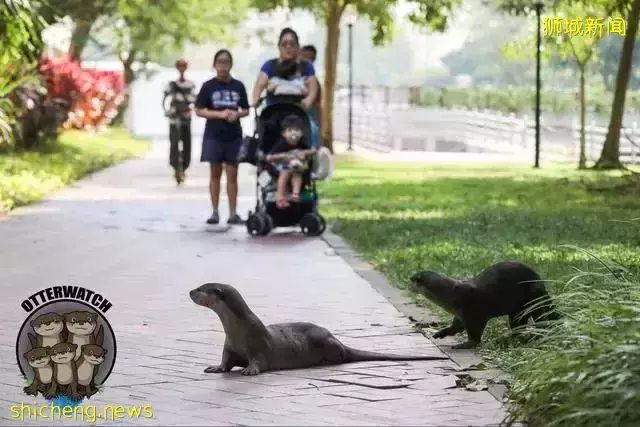 海景豪宅到底有多爽？新加坡东海岸度假风 永久地契公寓 The line@tanjong rhu 【俯瞰东海岸 远眺滨海湾】