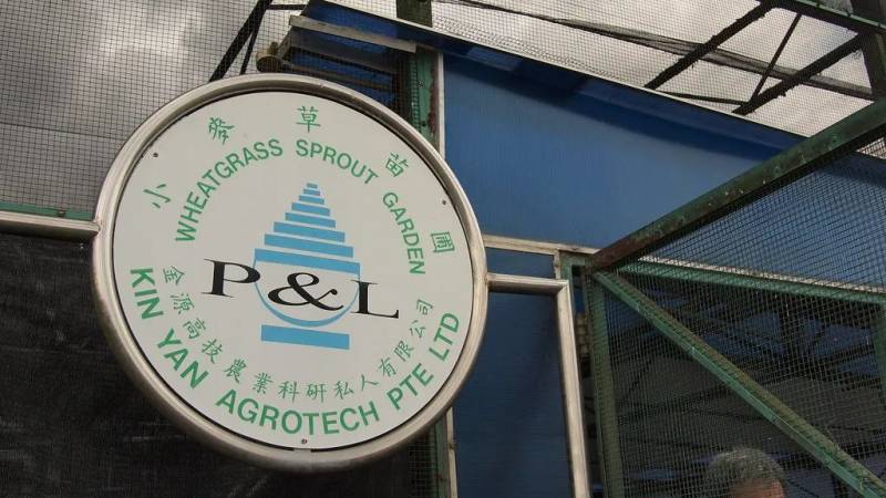 種水稻，摘蘑菇，新鮮蘆荟飲品！藏在新加坡的7大蔬菜農場我找到啦