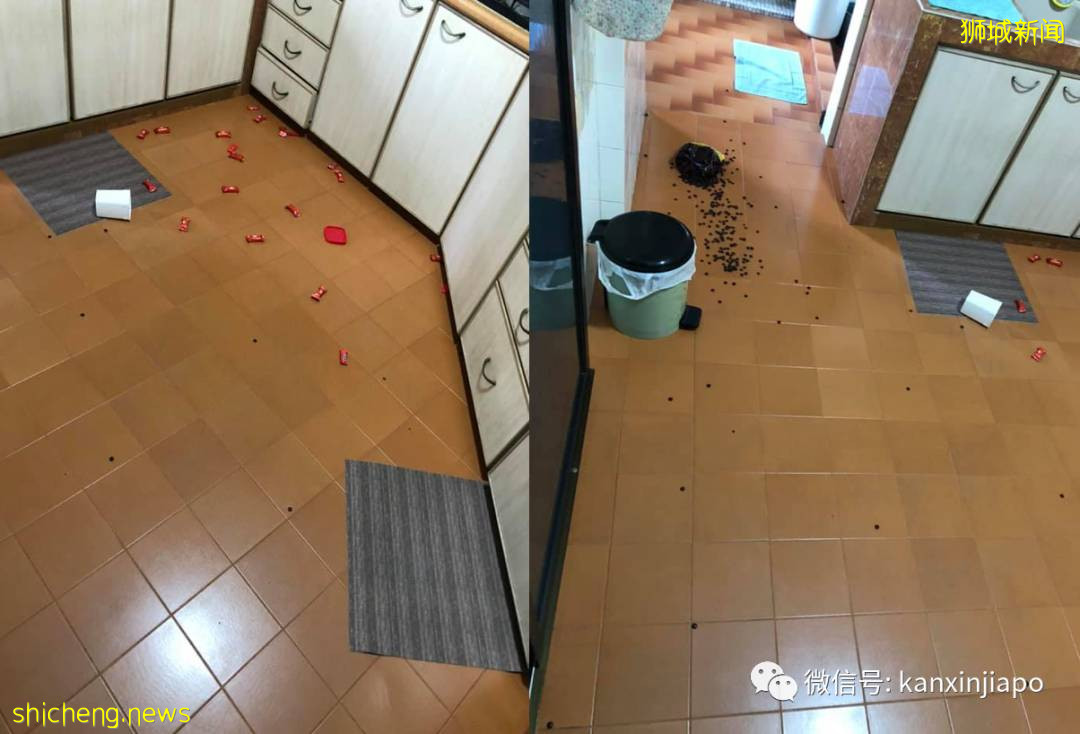 32岁文身男清晨半裸私闯公寓单位,吓到男屋主睡房大喊