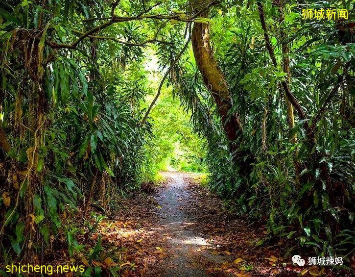 我們爲什麽愛新加坡？這56個理由夠不夠