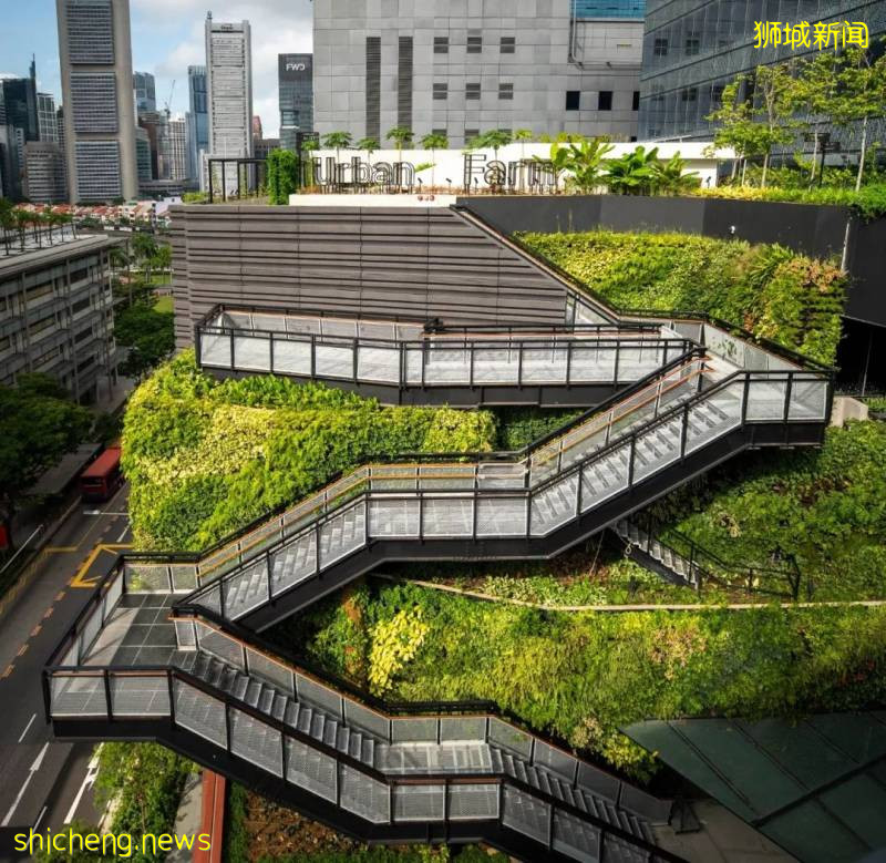 新加坡購物中心看點