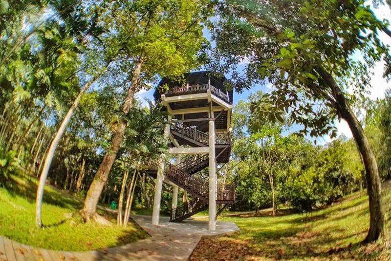 新加坡最好玩的海灘公園!趕海、騎馬、劃艇、樹籬迷宮、燒烤露營,超適合家庭出遊