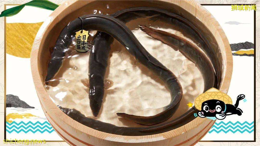 新加坡“莆田鳗魚節”卷土重來