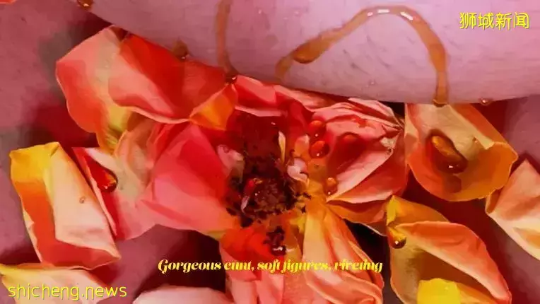 12月新加坡看展指南大放送