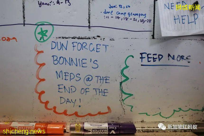 新加坡飛禽公園設有禽類專科醫院　裏面的“病人”最輕5克最重50公斤