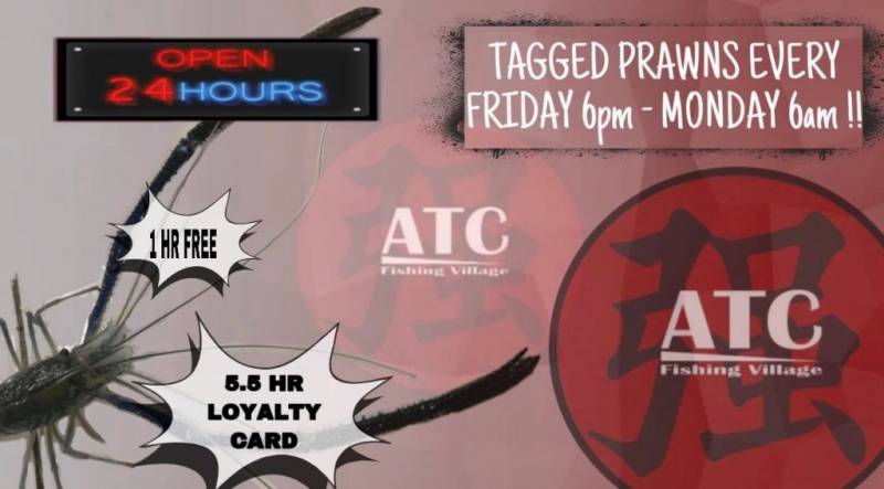 新加坡國民娛樂項目，養生釣蝦約不約？！盤點新加坡好玩的釣蝦場，周末走起吧