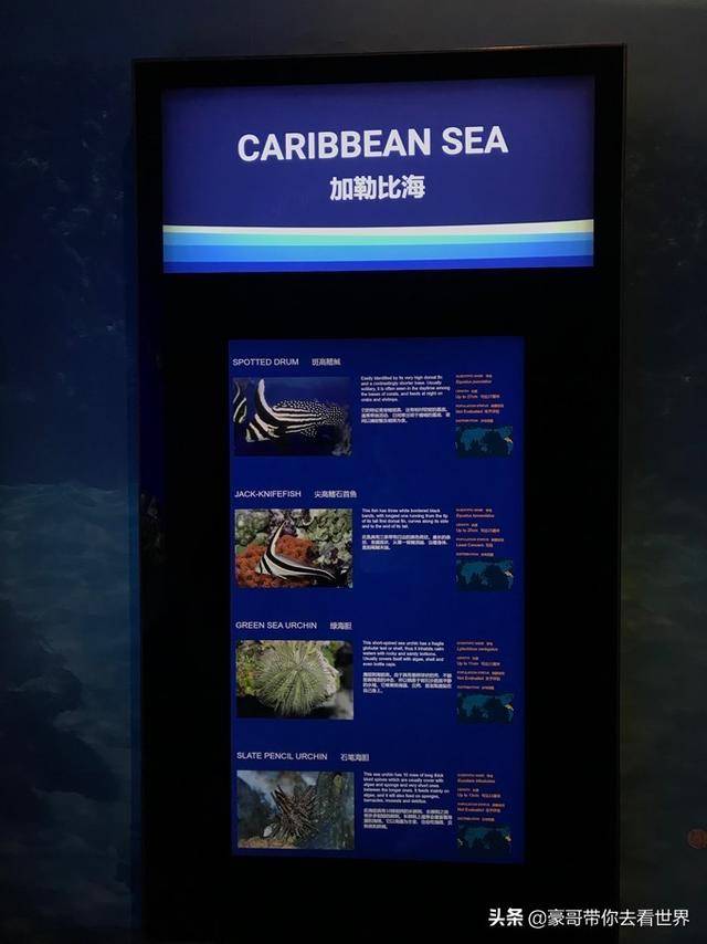 新加坡不枉此行的10大看點（中）分三集介紹