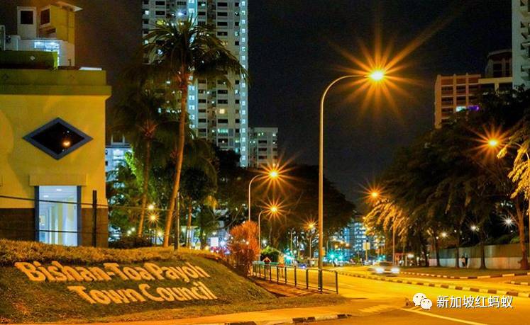 新加坡人镜头下“家的形状”是什么? 答案就在2500多张照片里