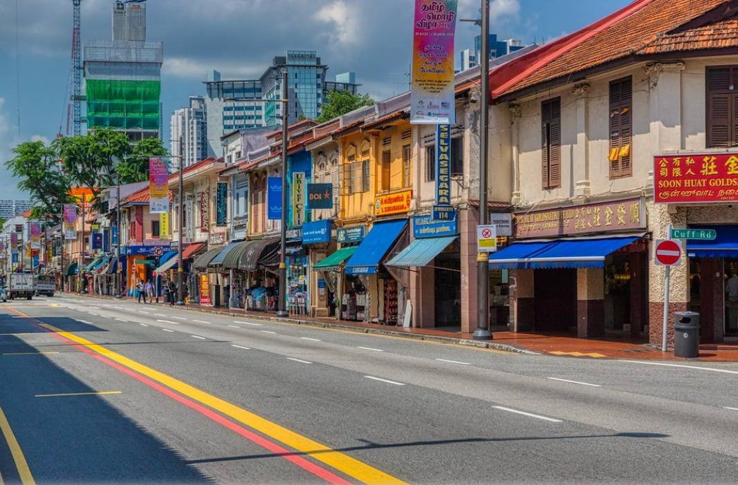 爆赞！新加坡10条最美巴士线路，花最少的钱玩遍全岛