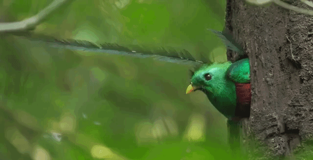 小坡島種草機!春遊野餐正當時,讓大自然治愈你