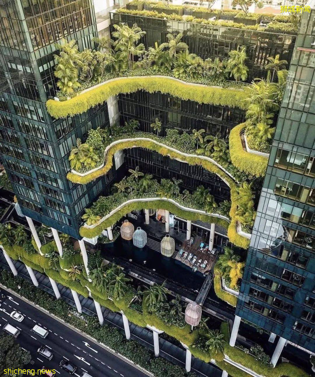 離開新加坡,你會想念嗎?回國2年的TA現身說法