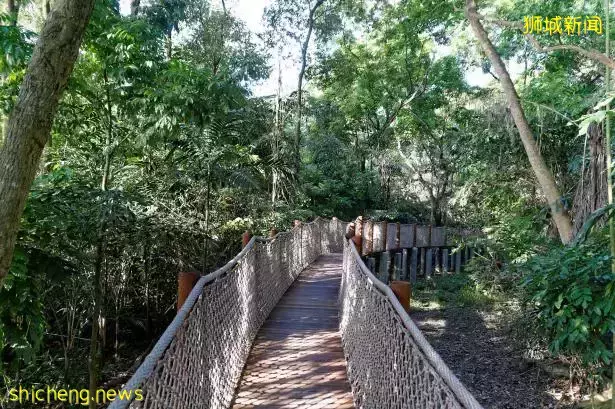 《即刻隨心所想，心想獅城》新加坡生態遊系列2