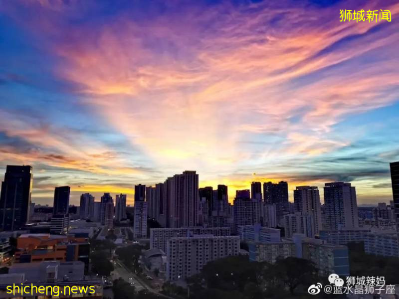 神兽出山！新加坡复课第一天，朝霞万丈!