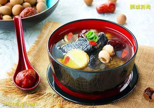 乌鸡成为颇受新加坡人喜爱的宠物，网友：馋哭